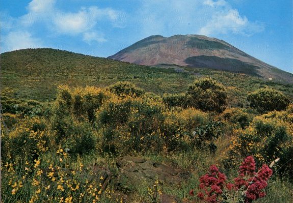 Radici e sfide dell’agricoltura nel Sommo Vesuvio
