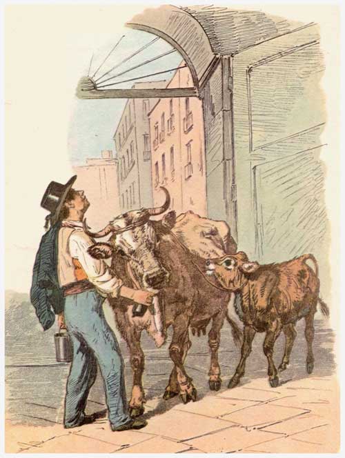 Il libro di G. Nappi sul “ Latte Nobile” è una storia “ di terre di coraggio di futuro”.