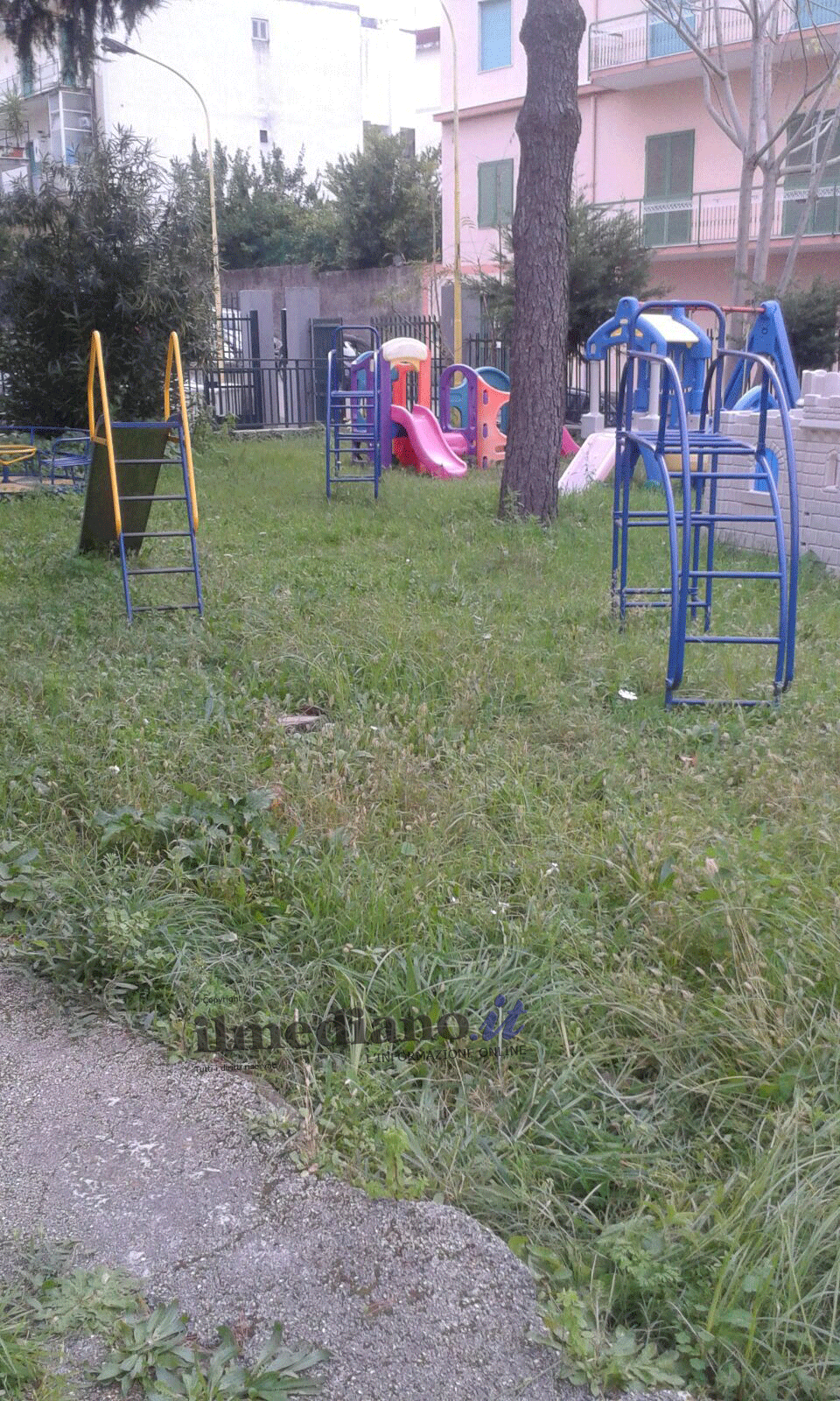 Sant’Anastasia. Piccoli alunni punti da sciame di api