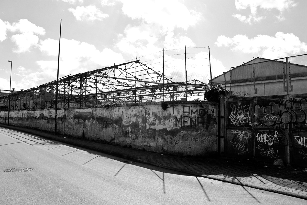 Dal mattone facile al pollice verde: a Casalnuovo iniziano i lavori del primo parco pubblico