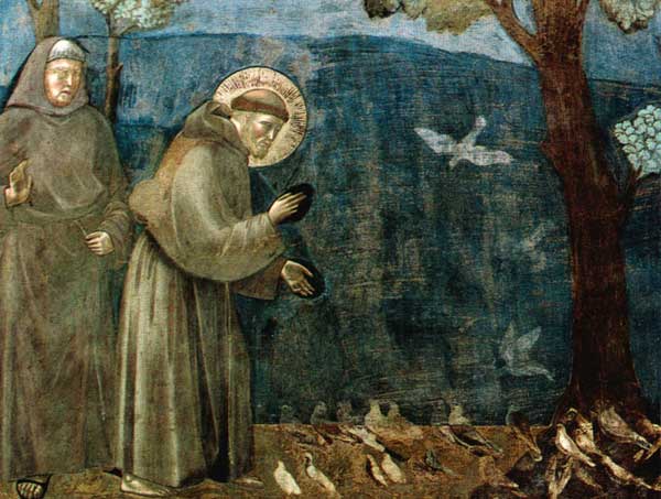 A Ottaviano si terrà un convegno sui temi della “ Laudato si’” di Papa Francesco: “la buona politica” e “la casa comune”.