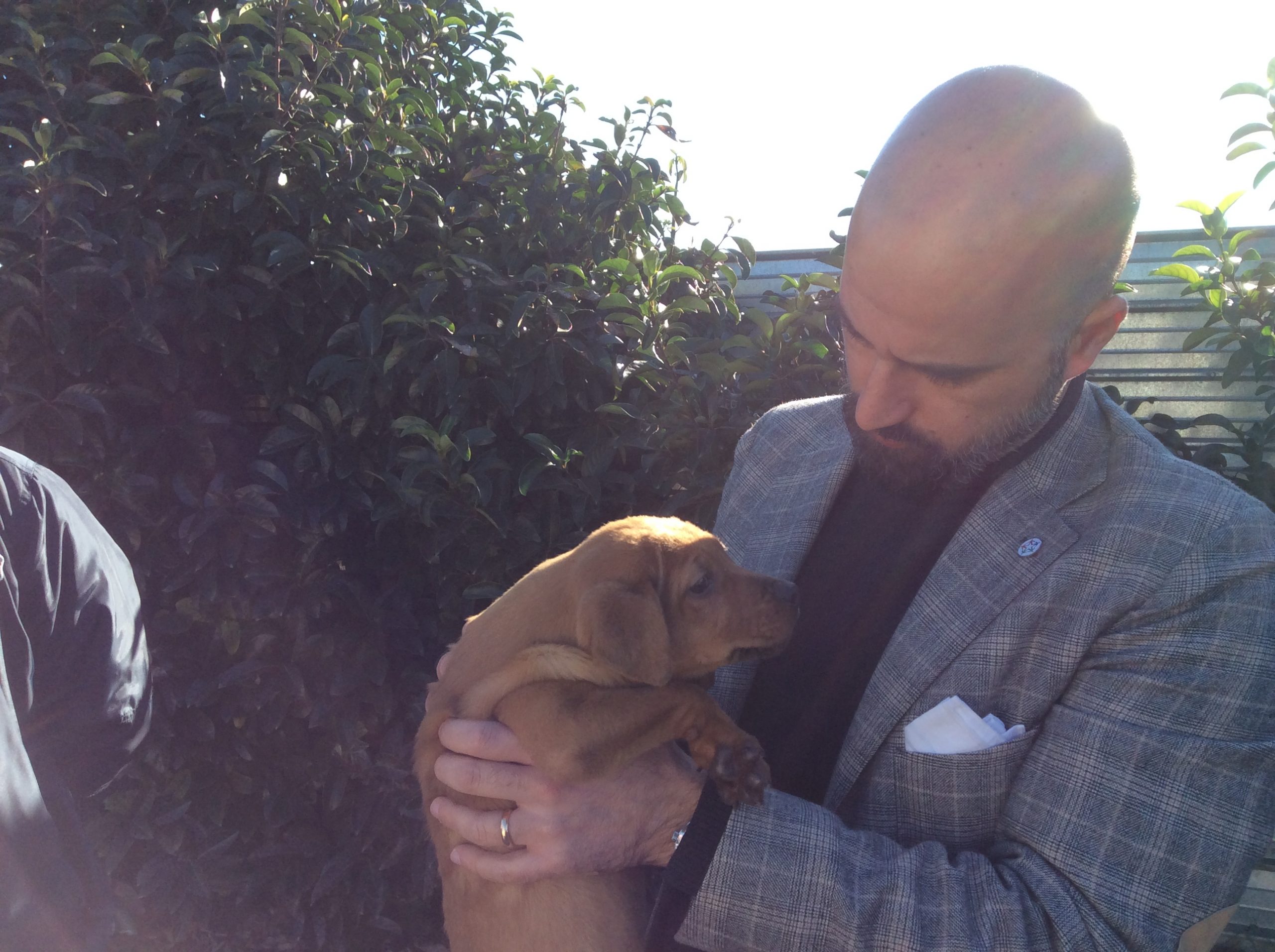 Somma Vesuviana, il vicesindaco Di Matteo in visita a sorpresa al canile che ospita i cani della città