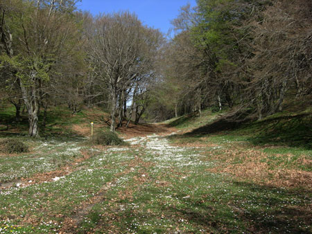 Roccarainola, scoperte gare illegali di motocross nella foresta regionale. Denunciate 5 persone