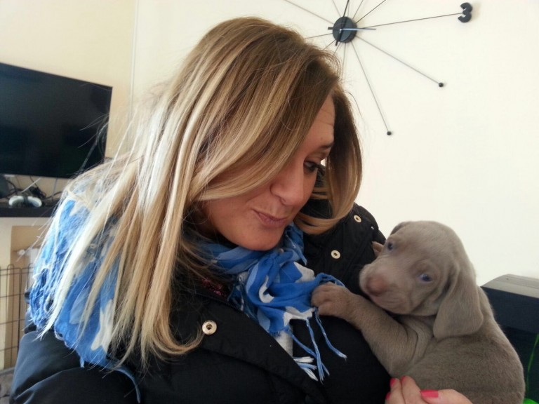 Sant’Anastasia, campagna «Adotta un cane», domani gazebo in piazza IV Novembre