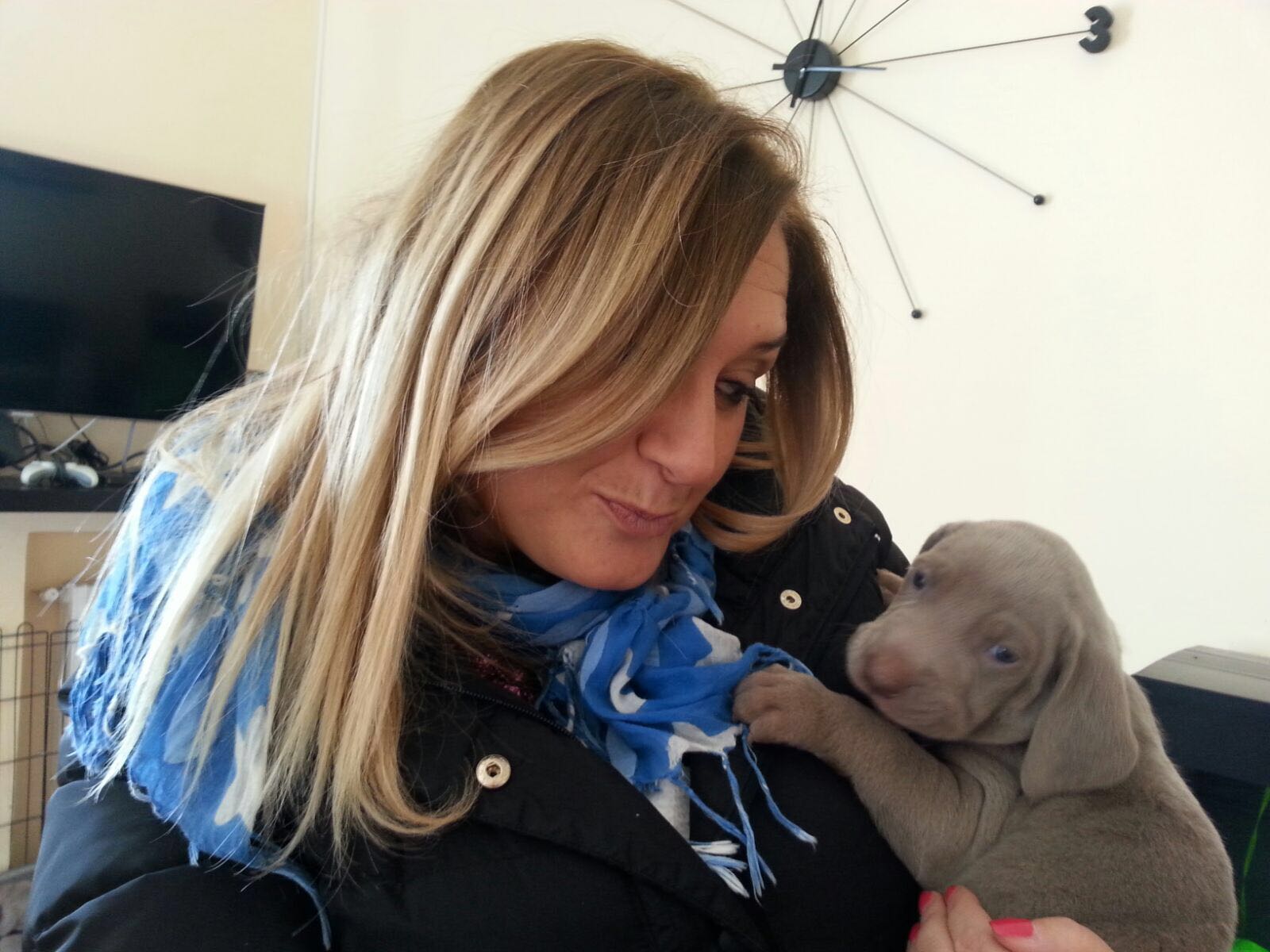 Sant’Anastasia, campagna «Adotta un cane», domani gazebo in piazza IV Novembre