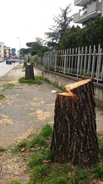 Volla. Cambio look per Via Petrarca