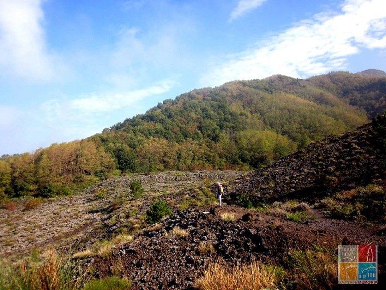 Vesuvio, visita guidata: passeggiando sul fiume di lava