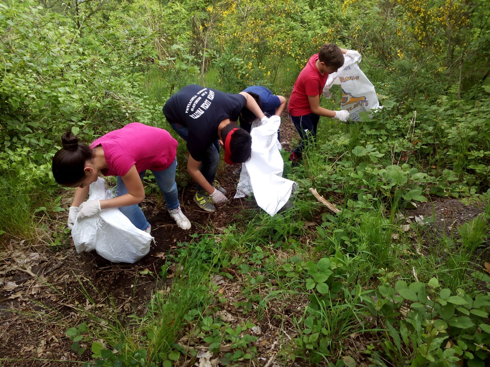 Somma Vesuviana, domenica ecologica con le paranze. Gli «angeli» del Monte Somma all’opera.