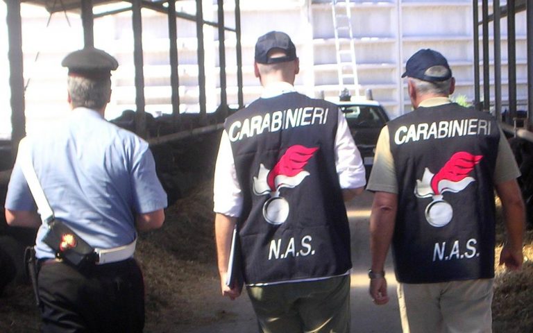 Blitz dei Nas a Pomigliano: sequestri e chiusure. C’è anche il pub di un presidente dei commercianti