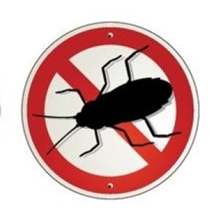 Volla: deblattizzazione delle strade del paese