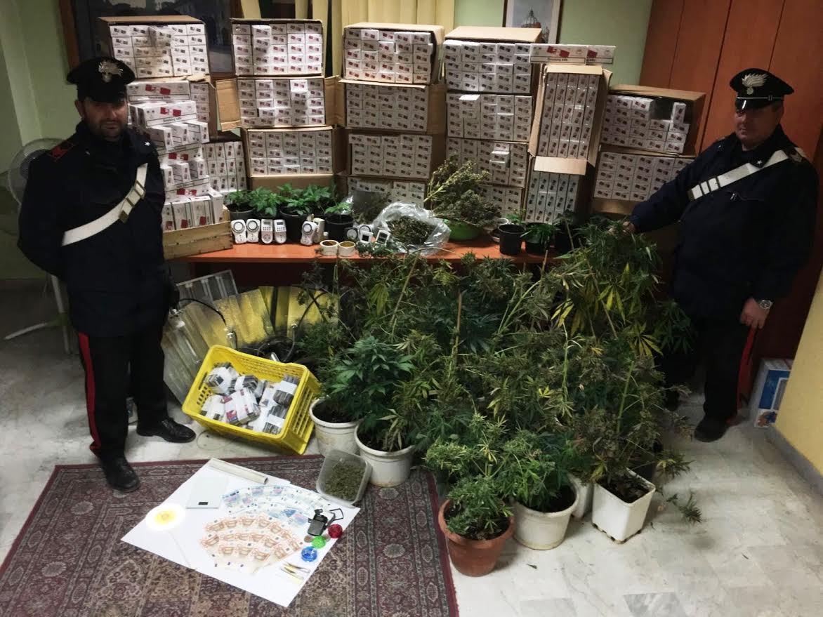 Acerra: serra di cannabis, marijuana già pronta, sigarette di contrabbando e DVD pirata nel garage di un 52enne. Arrestato dai carabinieri
