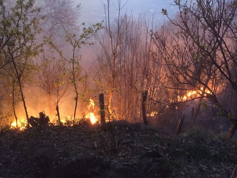 Emergenza incendi, il messaggio di Padre Beniamino Depalma