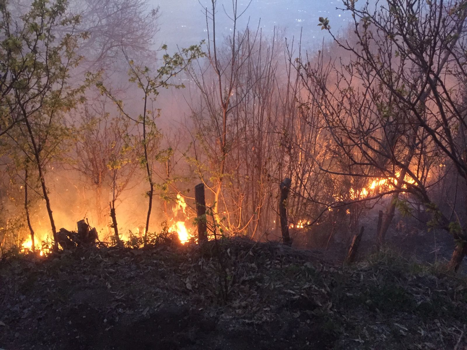 Emergenza incendi, il messaggio di Padre Beniamino Depalma