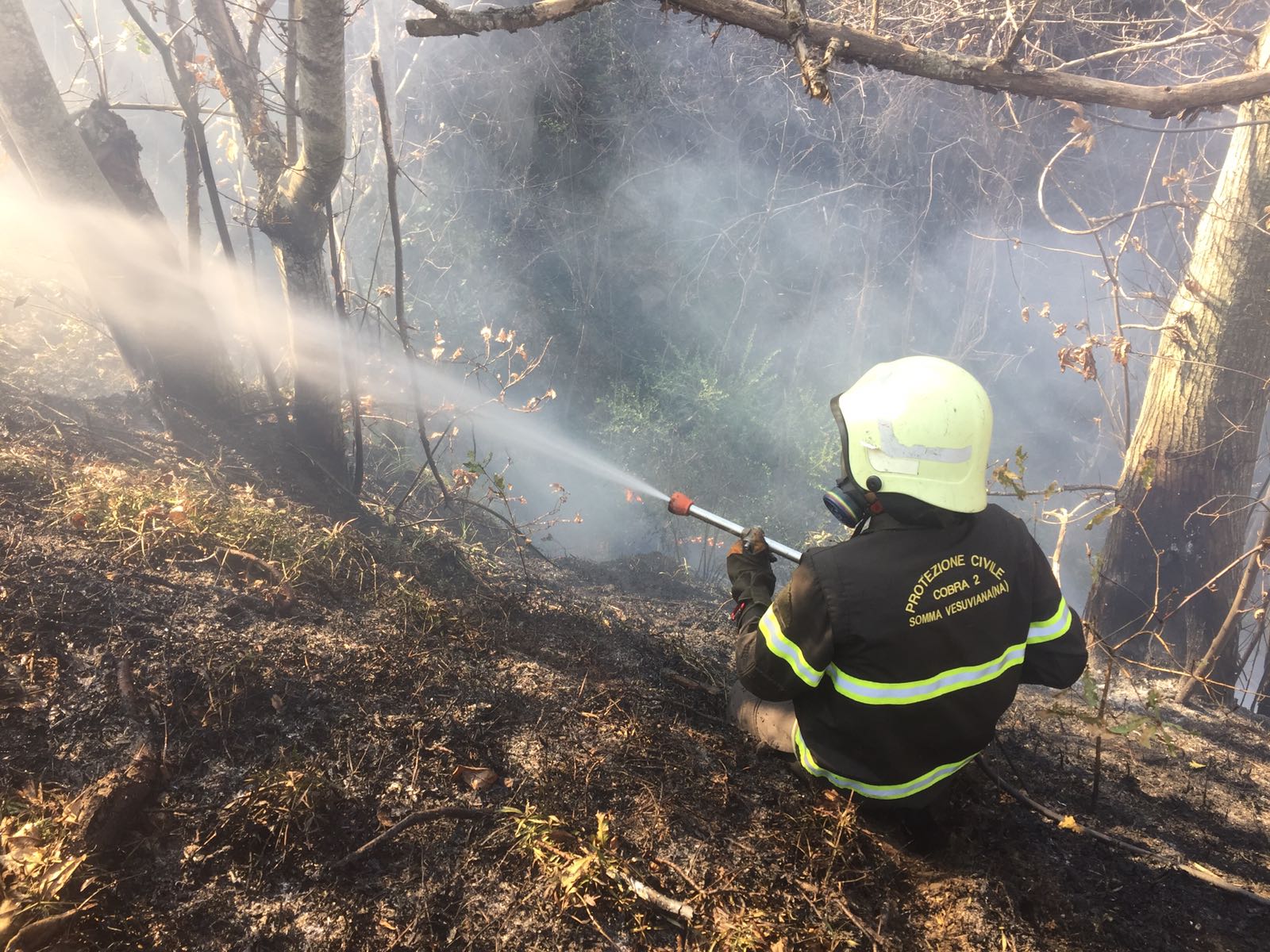 Somma Vesuviana, a fuoco diversi ettari di bosco in zona Palmintiello