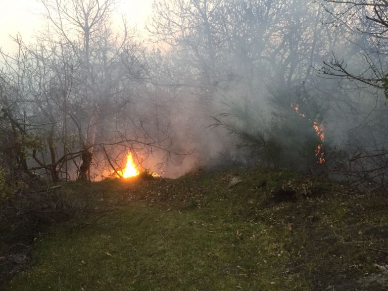 Mariglianella, ordinanza contro rischio roghi ed incendi