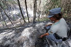 Perché le aree protette restano sulla carta