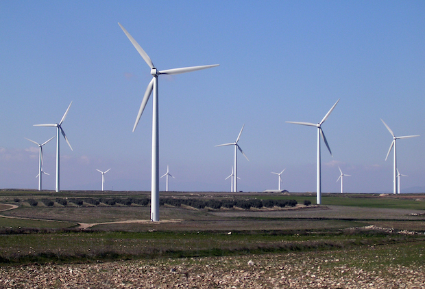 De Luca sospende l’eolico. Il Tar lo boccia.