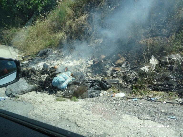 M5S: “Incendi, l’Ufficio lotta antifrode Ue apra un procedimento contro la Regione Campania”