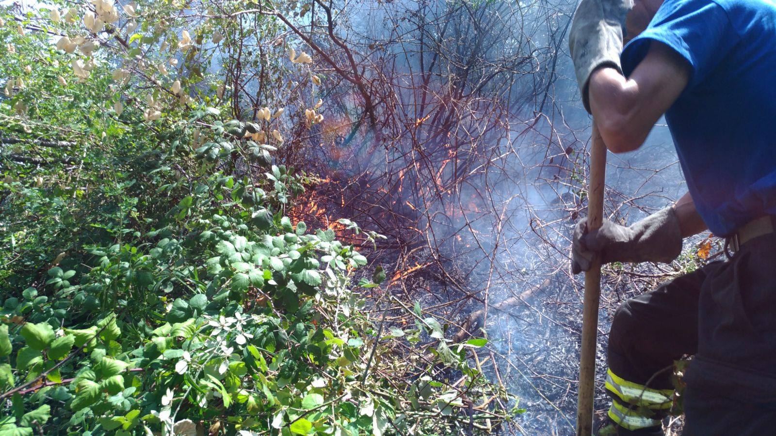 Somma Vesuviana, ieri un nuovo focolaio di incendio. E la Città Metropolitana stanzia 600mila euro