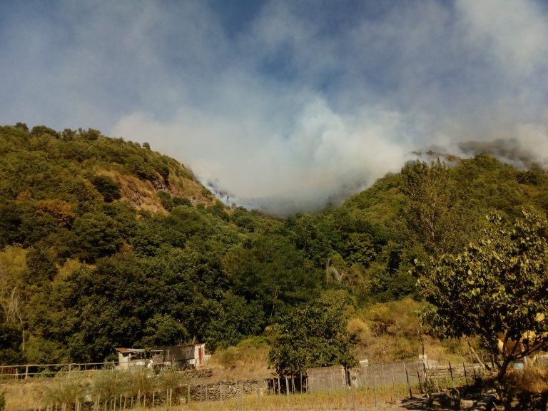 Emergenza incendi. Il sindaco di Ottaviano: “noi lasciati senza guida. E’ sempre più emergenza nazionale”