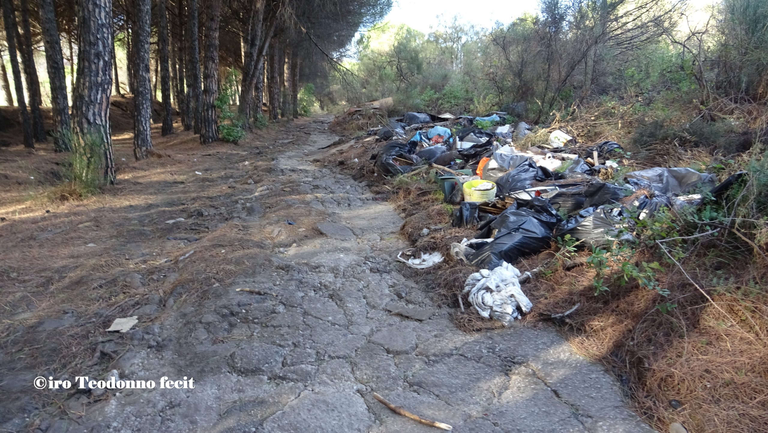 Saviano, Rifiuti: a giovedì 24 maggio il Tetra Pak sarà conferito nella frazione multimateriale