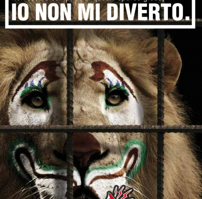 Napoli. Petizione per la tutela degli animali da circo