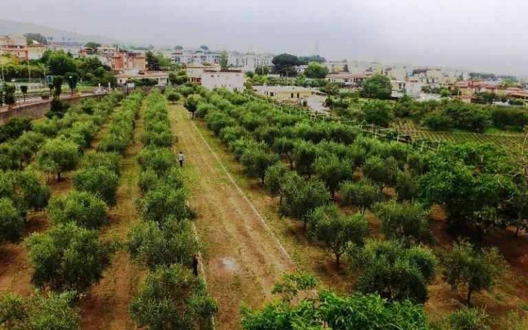 San Sebastiano al Vesuvio: al via la II edizione del Trofeo Scuolatletica