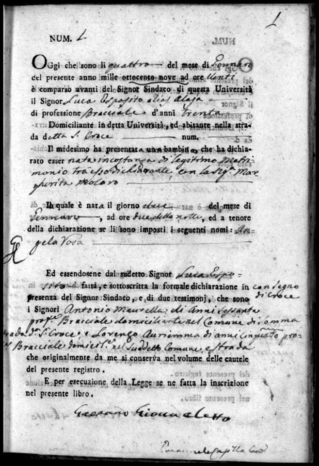 Somma Vesuviana, il Fondo Stato Civile dell’Archivio Storico: storia ed evoluzione di una comunità