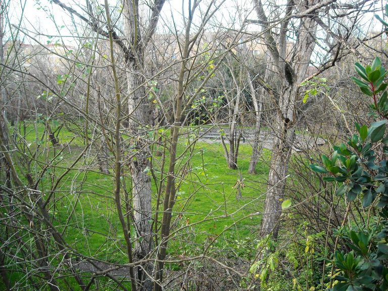 Le baby gang “intercomunali” si sfidano nel parco di Pomigliano: ferito un ragazzino.