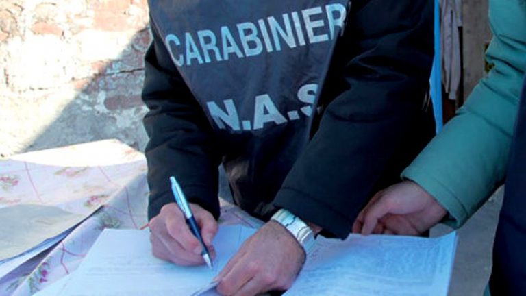Operazione dei NAS: chiusure e sequestri per abusivismo e scarsa igiene a Casalnuovo, Torre del Greco e Bacoli