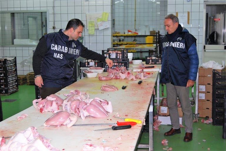 Casalnuovo, Marigliano ed Ercolano: NAS in azione contro scarsa igiene e abusivismo