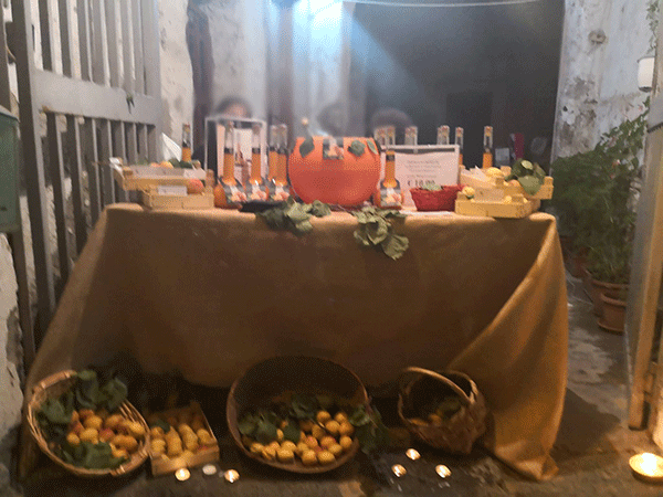 Somma Vesuviana, luci e ombre della kermesse Crisommole