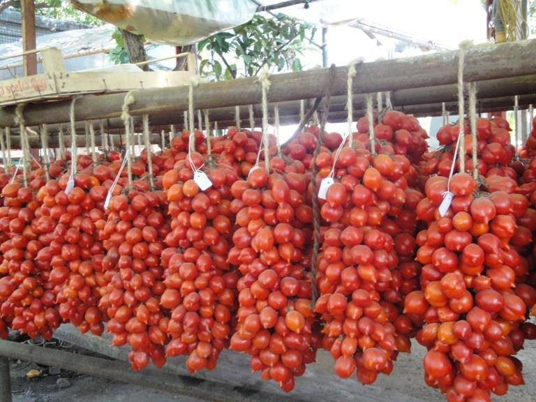 Pomodorino del Piennolo protagonista del Mercato della Terra Vesuvio