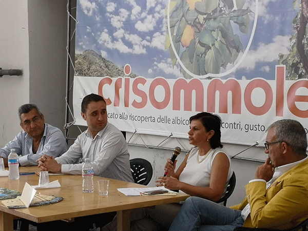 Somma Vesuviana, “Crisommole”: gli obiettivi sono un marchio e la sinergia