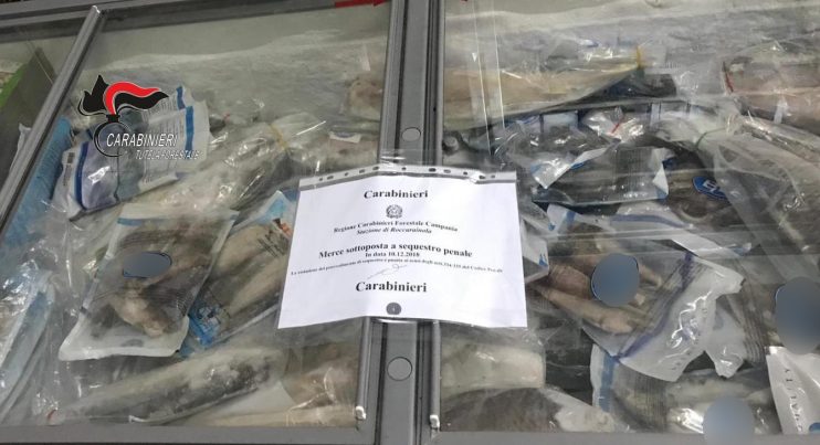 Nel Napoletano Carabinieri Forestali effettuano controlli alla filiera agroalimentare. Sanzioni amministrative e una denuncia