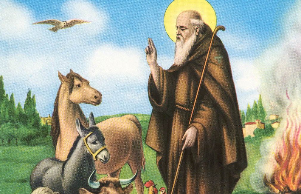 Madonna dell’Arco, benedizione degli animali e accensione del fuoco: la festa di Sant’Antuono