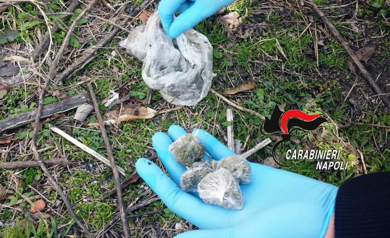 Boscoreale, sorpreso mentre coltiva cannabis: 32enne in manette