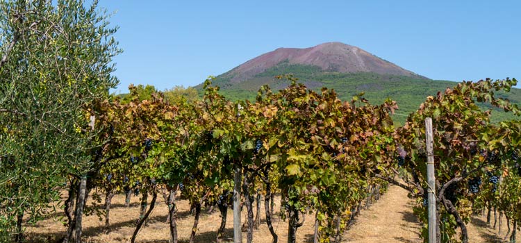 VinGustandoItalia. Le lacrime di Gesù sono cadute su un pezzo di Paradiso, il Golfo di Napoli…