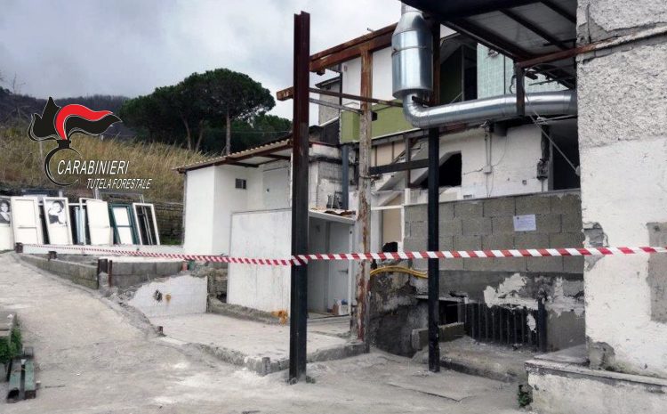 Abusivismo nel Parco Nazionale del Vesuvio, 18 denunce dei carabinieri forestali