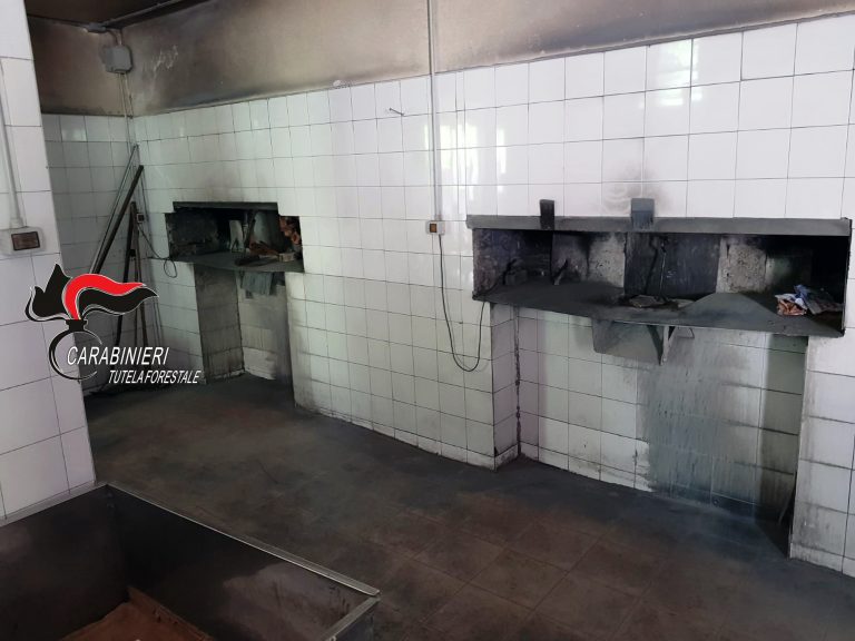 Nola, caseificio con “finta” mozzarella di bufala e panifici  sporchi: controlli e sanzioni