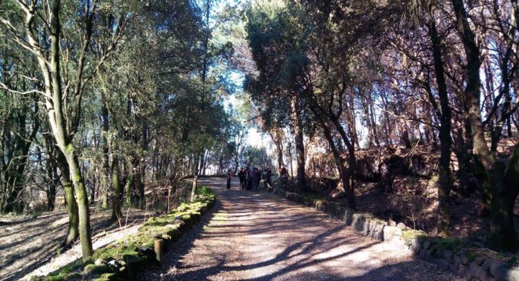 A Torre del Greco arriva l’Eco-Pasquetta 2019: associazioni in prima linea per il territorio