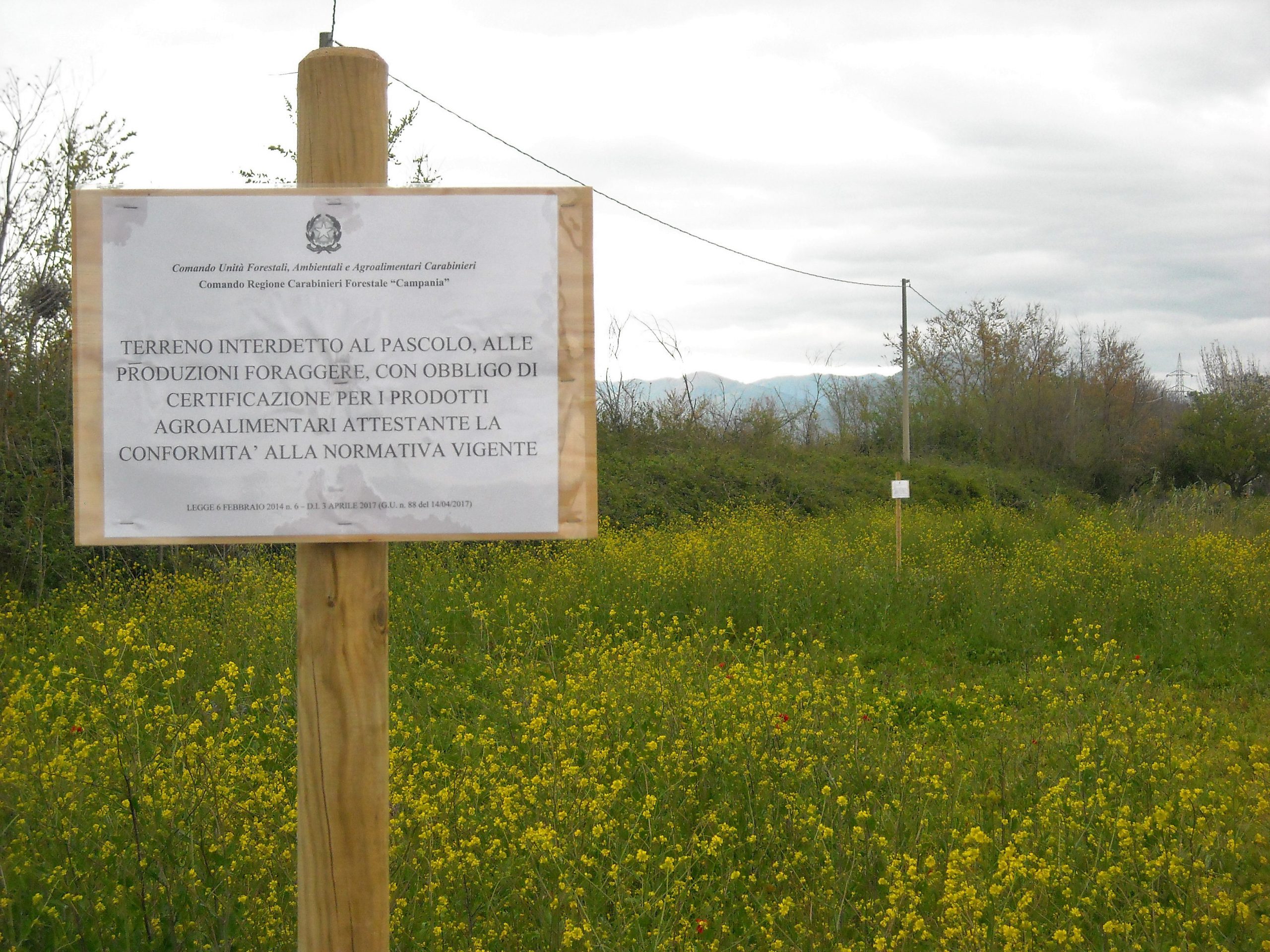 Inquinamento, terreni contaminati interdetti ad Acerra. E a Casalnuovo ecologisti e M5S in procura per il parco Moneta