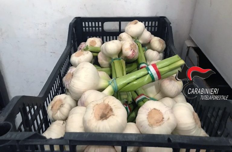 Verdure prive di tracciabilità: in una ditta del Napoletano sequestrati 950 kg di prodotti