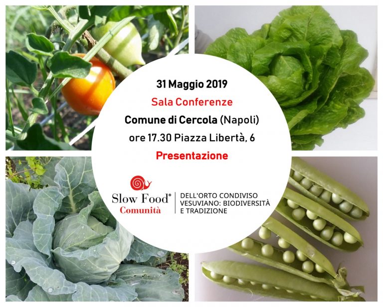 Cercola, biodiversità e tradizione: nasce la prima comunità slow food orto condiviso