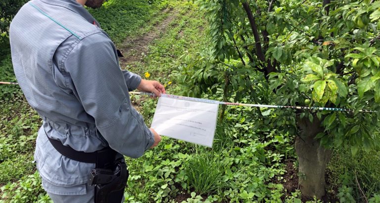 Terra dei fuochi”, sequestrati 2 terreni interdetti alla coltivazione
