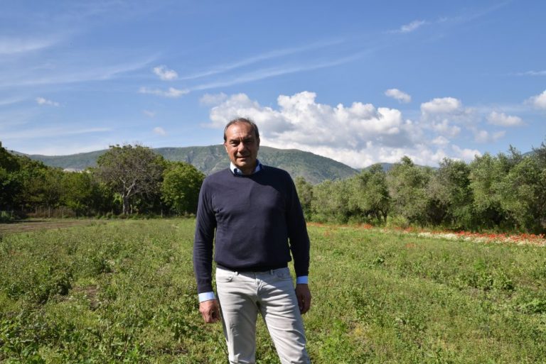 Eccellenze nolane, l’agricoltura Eubiotica sul Vesuvio
