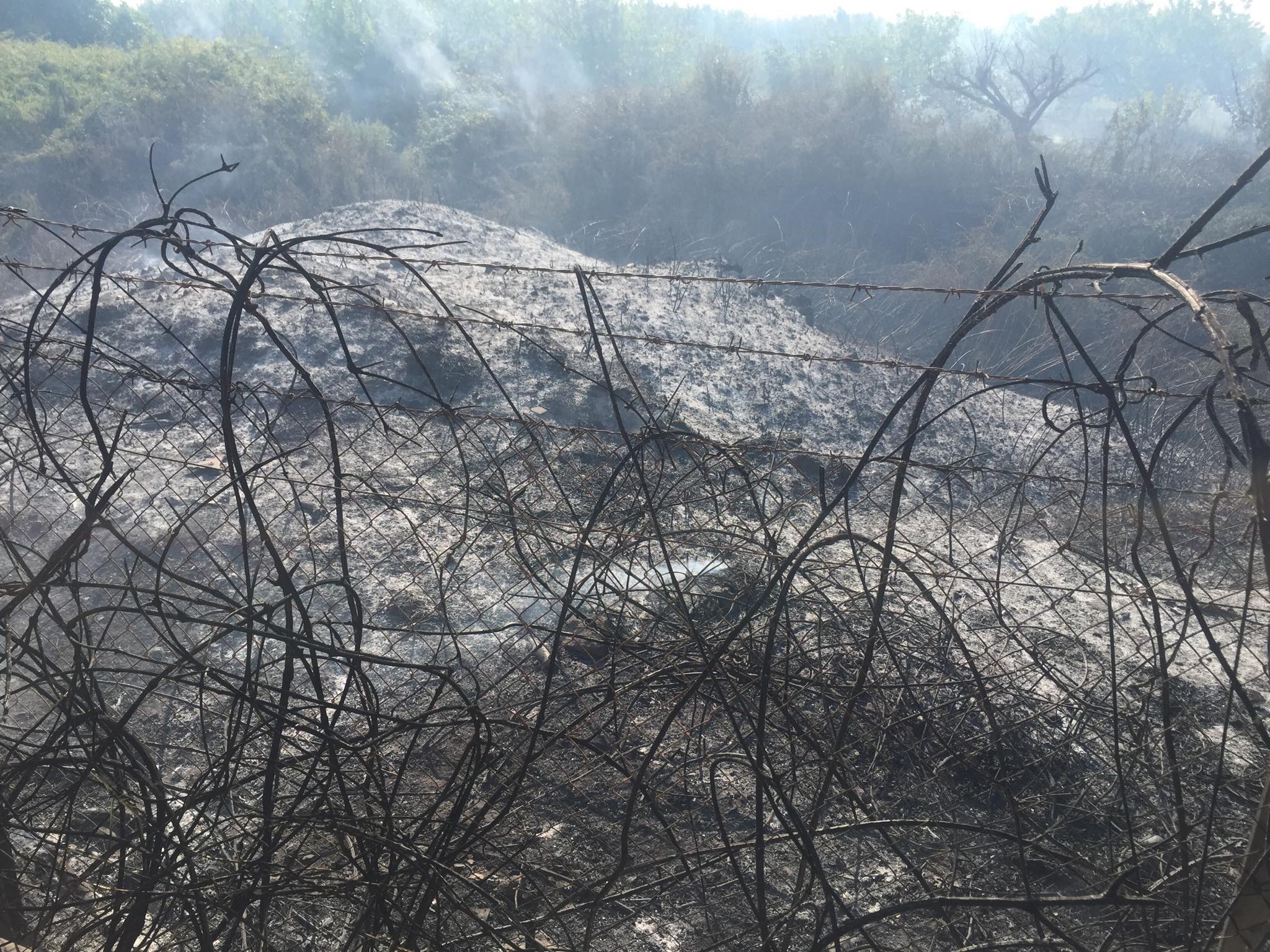 incendio sin calabricito