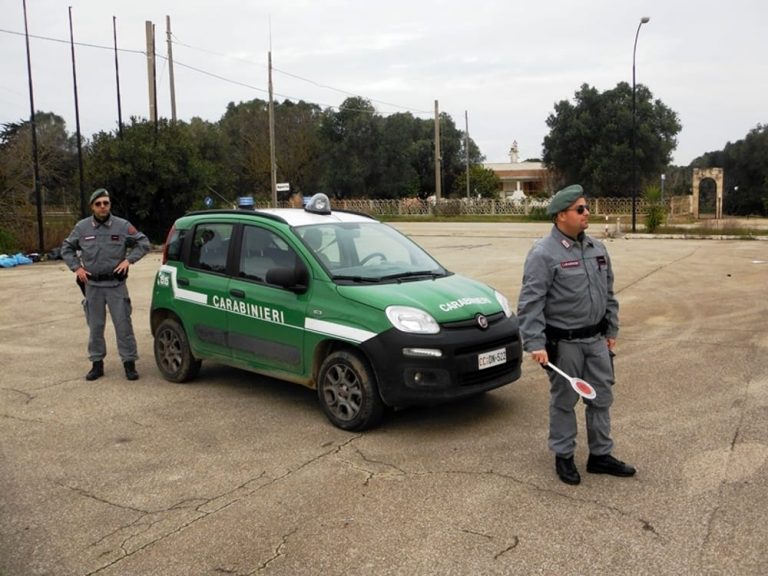 Nola, incendio di rifiuti in un terreno: Carabinieri Forestali arrestano 32enne