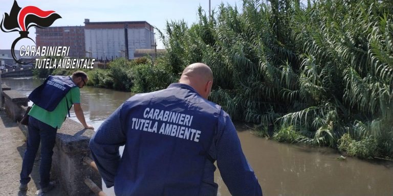 Controlli dei Carabinieri del NOE: scarichi illeciti nel fiume Sarno, sequestrato un autolavaggio, una denuncia