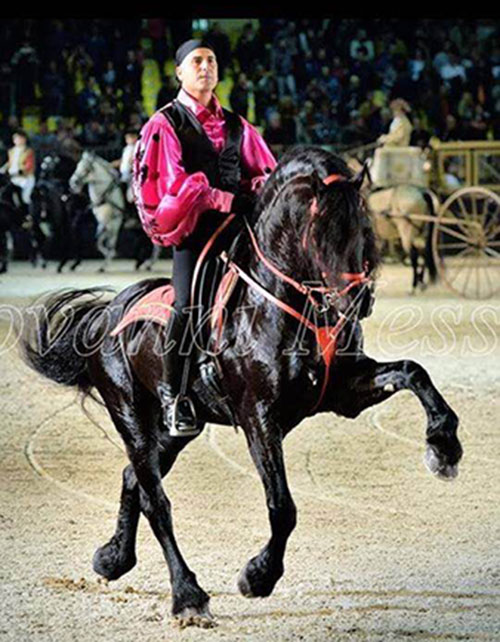 Alla Fiera di San Gennaro Vesuviano “giochi” artistici di cavalli e pagine di storia: nel rispetto della tradizione